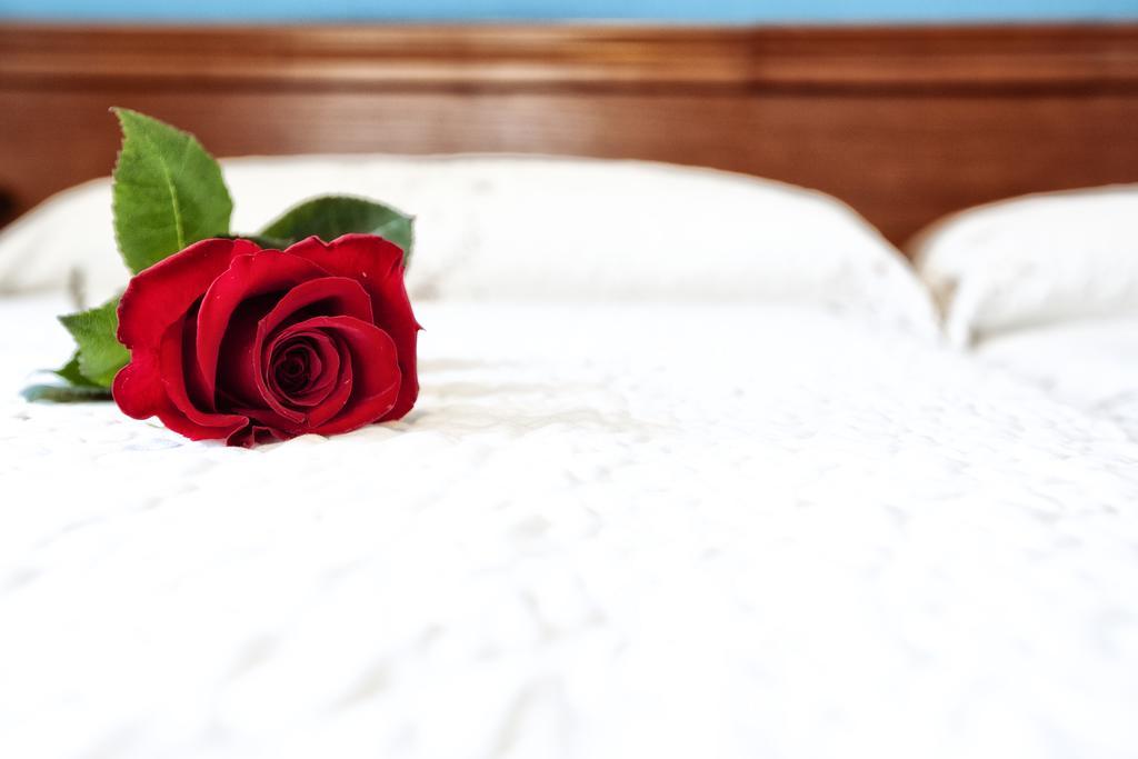 Hotel Eladia Onís Zewnętrze zdjęcie